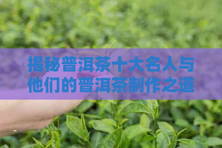 揭秘普洱茶十大名人与他们的普洱茶制作之道：谁是真正的元老？