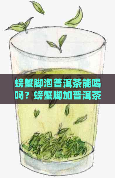 螃蟹脚泡普洱茶能喝吗？螃蟹脚加普洱茶和螃蟹脚茶的泡法及注意事项。