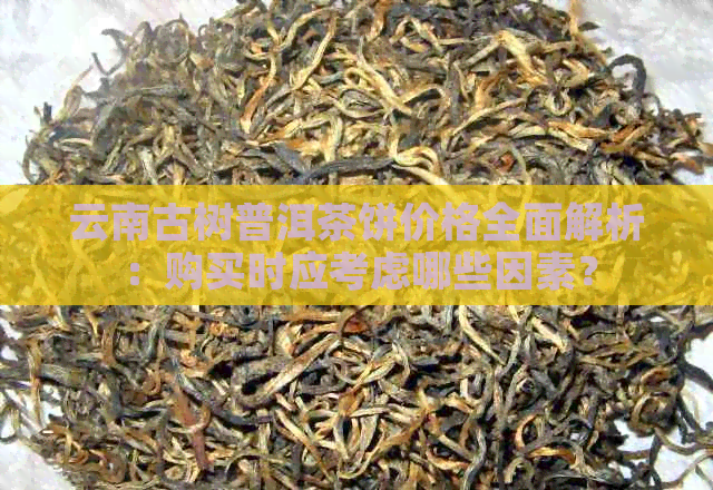 云南古树普洱茶饼价格全面解析：购买时应考虑哪些因素？