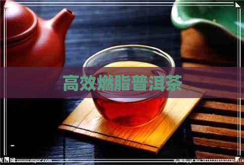 高效燃脂普洱茶