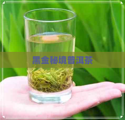 黑金秘境普洱茶