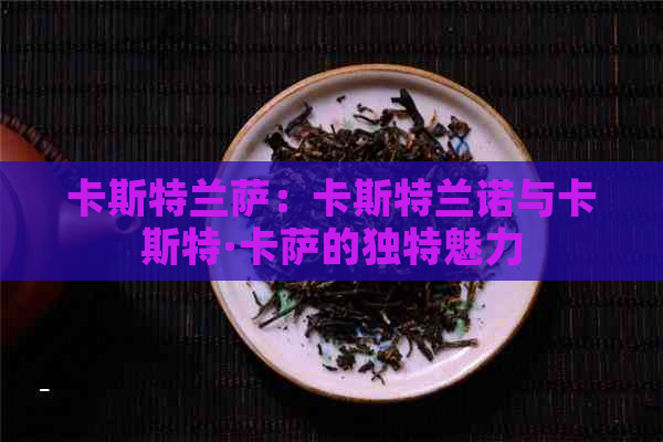 卡斯特兰萨：卡斯特兰诺与卡斯特·卡萨的独特魅力