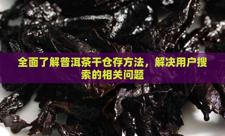 全面了解普洱茶干仓存方法，解决用户搜索的相关问题