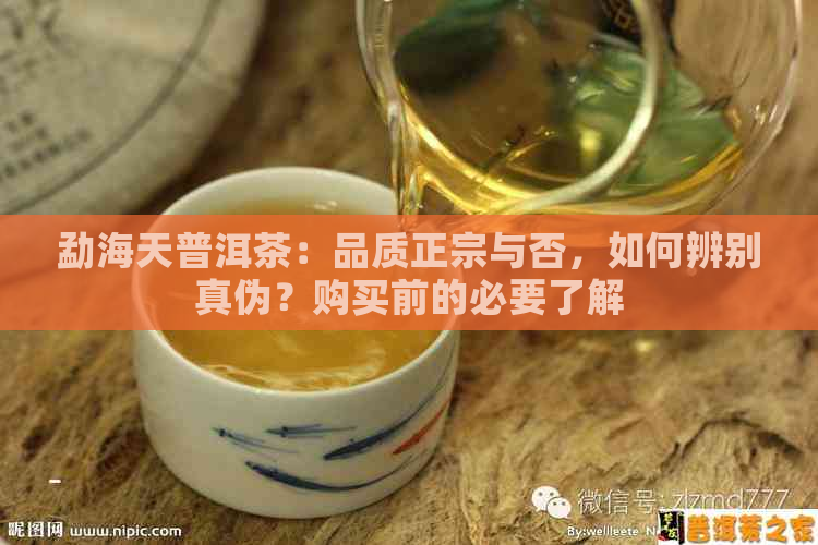 勐海天普洱茶：品质正宗与否，如何辨别真伪？购买前的必要了解