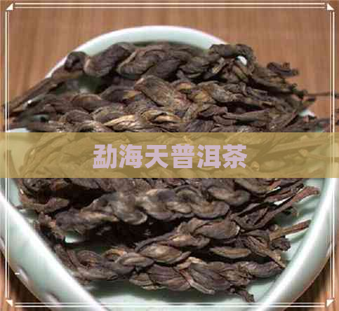 勐海天普洱茶