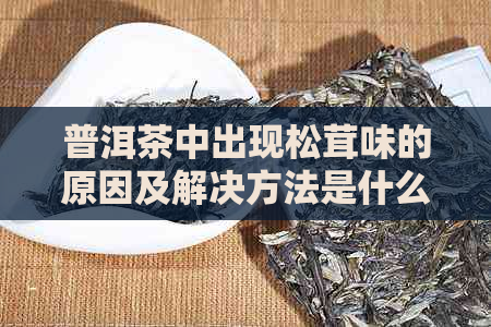 普洱茶中出现松茸味的原因及解决方法是什么？