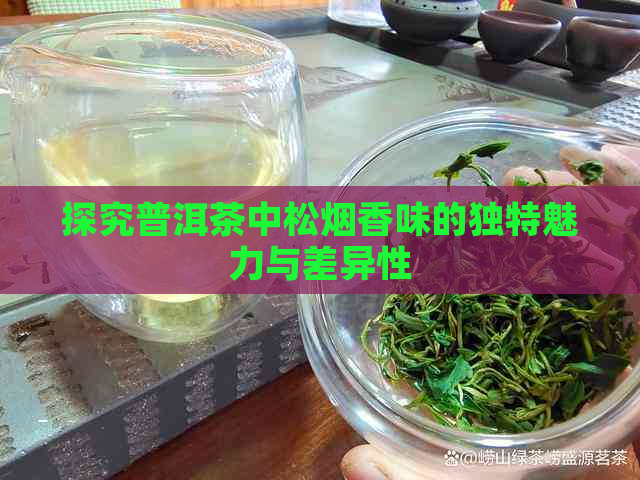 探究普洱茶中松烟香味的独特魅力与差异性