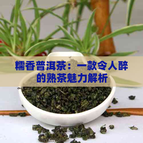 糯香普洱茶：一款令人醉的熟茶魅力解析