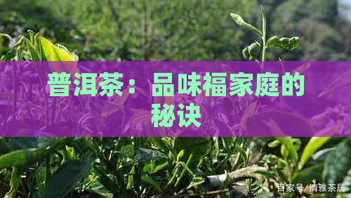 普洱茶：品味福家庭的秘诀