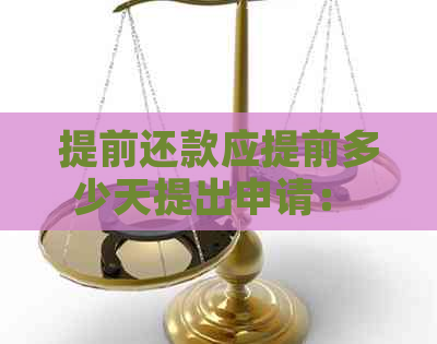 提前还款应提前多少天提出申请： 提前还款申请流程与生效时间详解