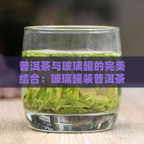 普洱茶与玻璃罐的完美结合：玻璃罐装普洱茶存放的选择