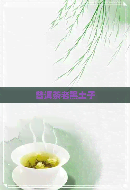 普洱茶老黑土子