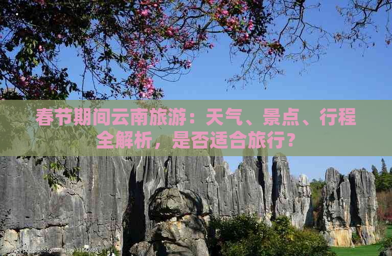 春节期间云南旅游：天气、景点、行程全解析，是否适合旅行？