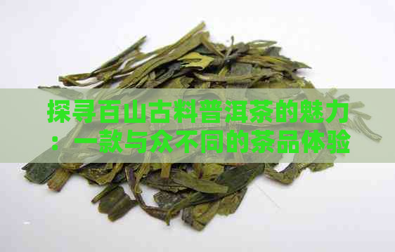 探寻百山古料普洱茶的魅力：一款与众不同的茶品体验