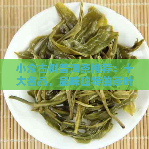 小众古树普洱茶推荐：十大名品，品味独特的茶叶佳作。