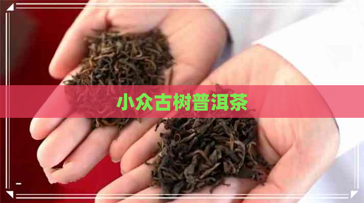 小众古树普洱茶