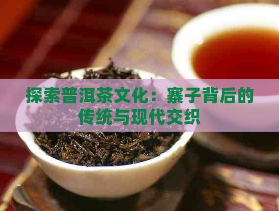 探索普洱茶文化：寨子背后的传统与现代交织