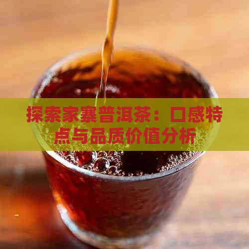 探索家寨普洱茶：口感特点与品质价值分析