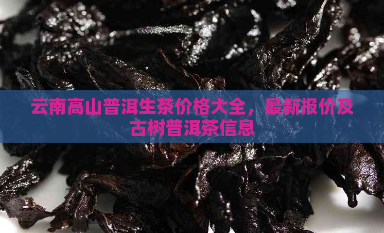 云南高山普洱生茶价格大全，最新报价及古树普洱茶信息