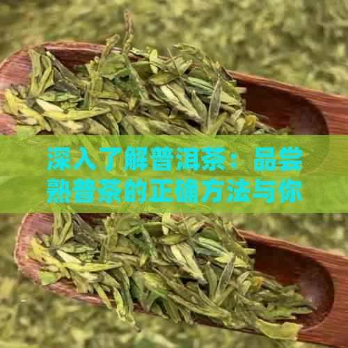 深入了解普洱茶：品尝熟普茶的正确方法与你不知道的新发现