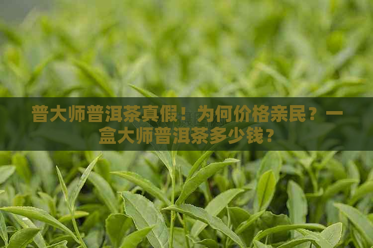 普大师普洱茶真假！为何价格亲民？一盒大师普洱茶多少钱？