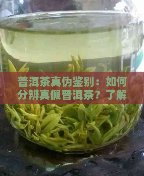 普洱茶真伪鉴别：如何分辨真假普洱茶？了解关键特征和购买建议