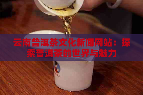 云南普洱茶文化新闻网站：探索普洱茶的世界与魅力