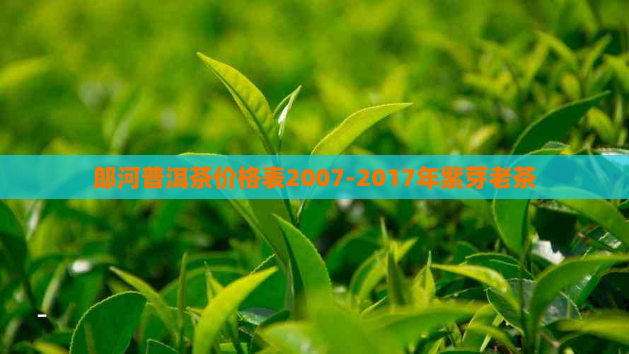 郎河普洱茶价格表2007-2017年紫芽老茶