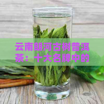 云南朗河古树普洱茶：十大名牌中的独特韵味与品质