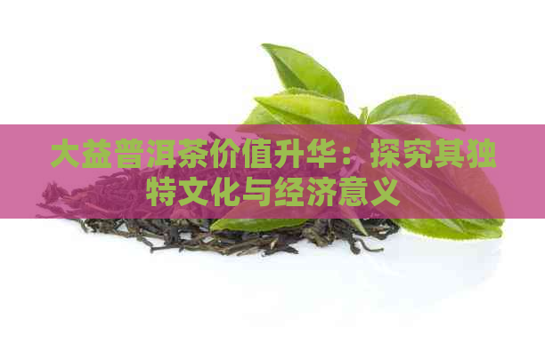 大益普洱茶价值升华：探究其独特文化与经济意义