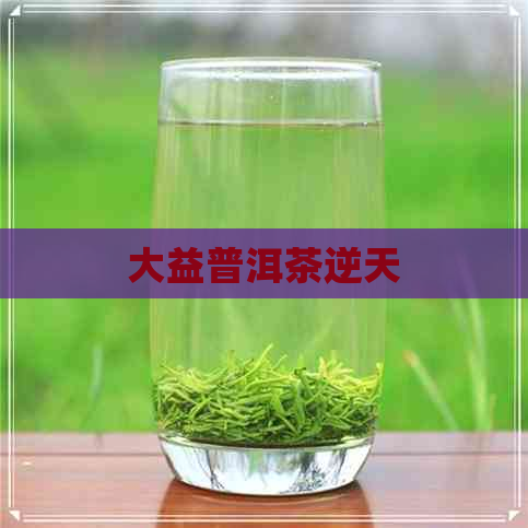 大益普洱茶逆天