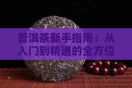 普洱茶新手指南：从入门到精通的全方位知识