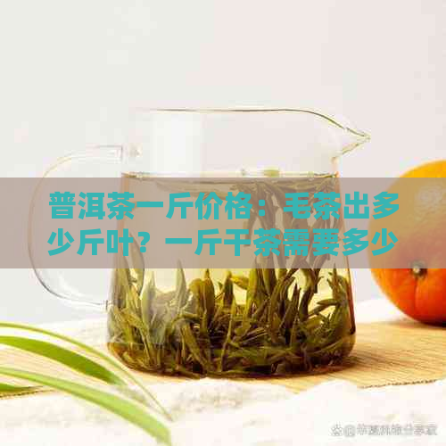 普洱茶一斤价格：毛茶出多少斤叶？一斤干茶需要多少叶？