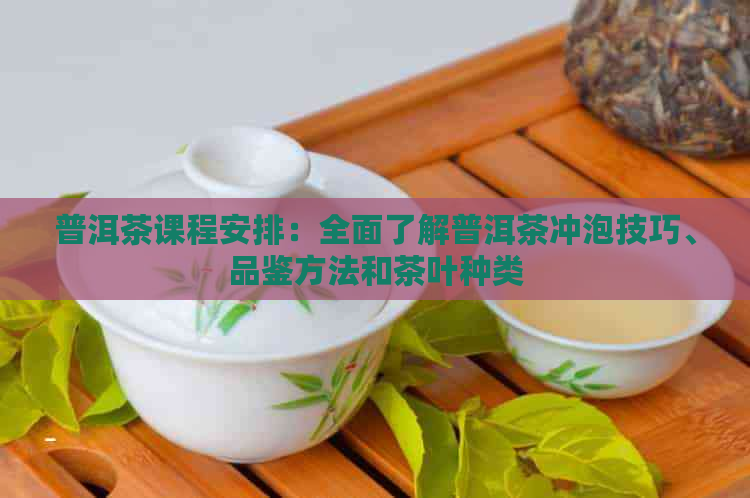 普洱茶课程安排：全面了解普洱茶冲泡技巧、品鉴方法和茶叶种类