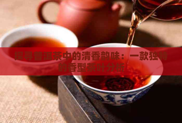 探寻普洱茶中的清香韵味：一款独特的香型茶叶分析