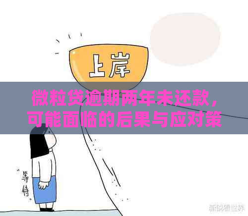 微粒贷逾期两年未还款，可能面临的后果与应对策略