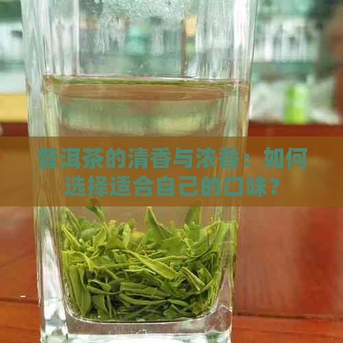 普洱茶的清香与浓香：如何选择适合自己的口味？