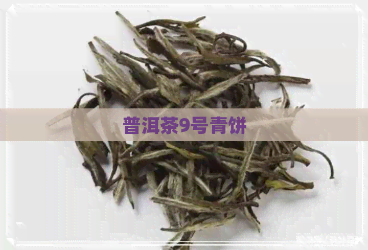 普洱茶9号青饼