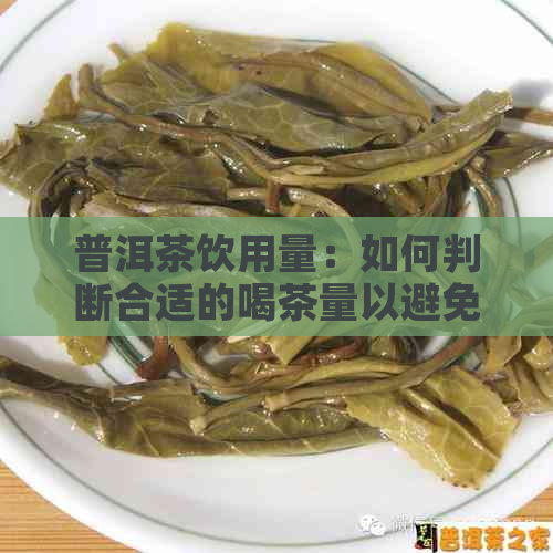 普洱茶饮用量：如何判断合适的喝茶量以避免过量？