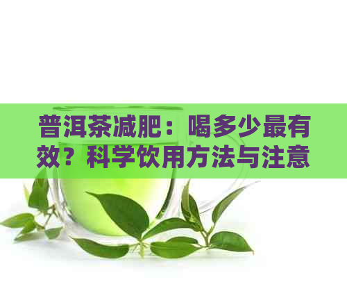 普洱茶减肥：喝多少最有效？科学饮用方法与注意事项全解析