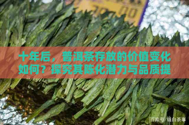 十年后，普洱茶存放的价值变化如何？探究其陈化潜力与品质提升