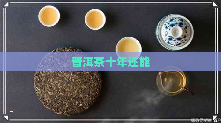 普洱茶十年还能