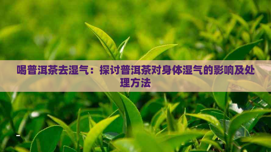 喝普洱茶去湿气：探讨普洱茶对身体湿气的影响及处理方法