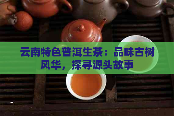 云南特色普洱生茶：品味古树风华，探寻源头故事