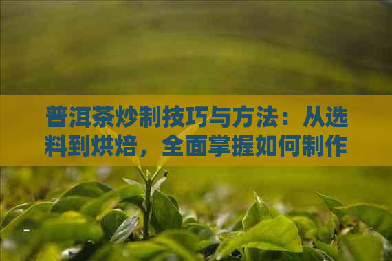 普洱茶炒制技巧与方法：从选料到烘焙，全面掌握如何制作一杯优质普洱茶