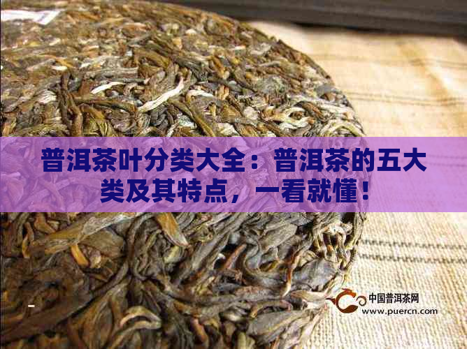 普洱茶叶分类大全：普洱茶的五大类及其特点，一看就懂！