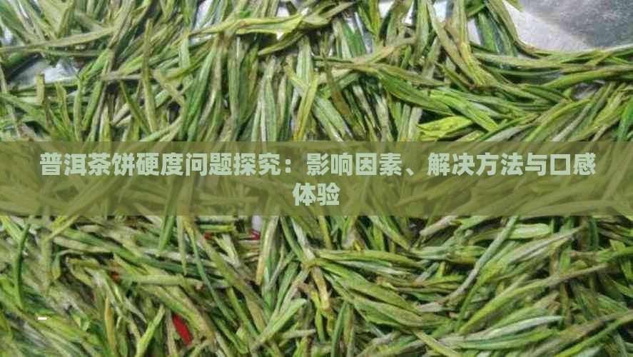 普洱茶饼硬度问题探究：影响因素、解决方法与口感体验