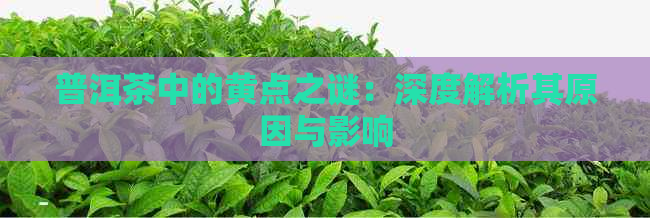 普洱茶中的黄点之谜：深度解析其原因与影响