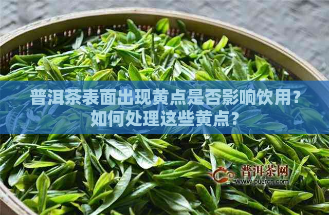 普洱茶表面出现黄点是否影响饮用？如何处理这些黄点？