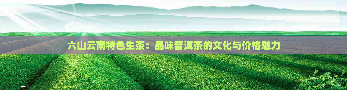 六山云南特色生茶：品味普洱茶的文化与价格魅力